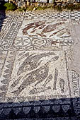Creta - Agios Nikolaos, la baia di Elounda. Mosaico del pavimento con motivi marini unici resti di una antica basilica paleocristiana.  